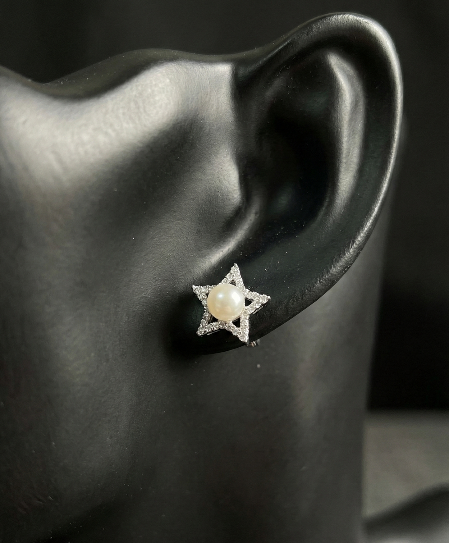 Silver Diamond Sky Earrings | RVE-03