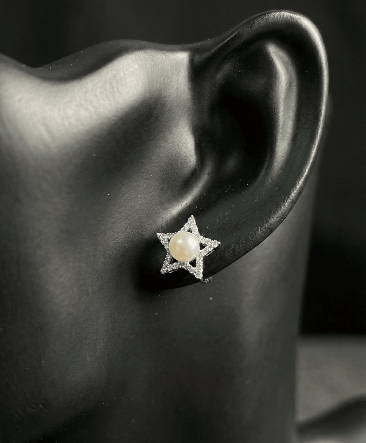 Silver Diamond Sky Earrings | RVE-03